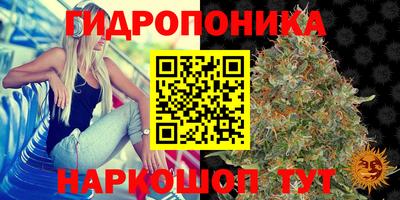 кокс Павлово