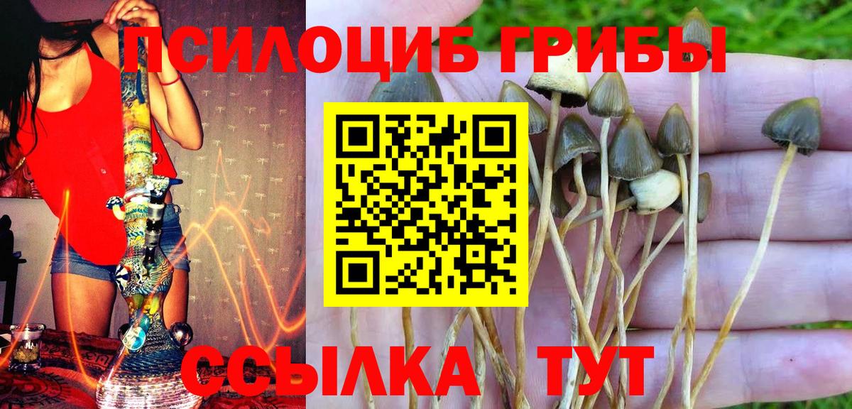 Псилоцибиновые грибы MAGIC MUSHROOMS  Вход с VPN  Ноябрьск 